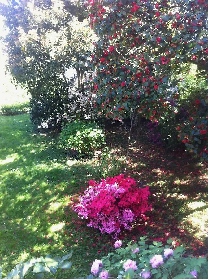 Villa Corti Lakeview Como Bed & Breakfast