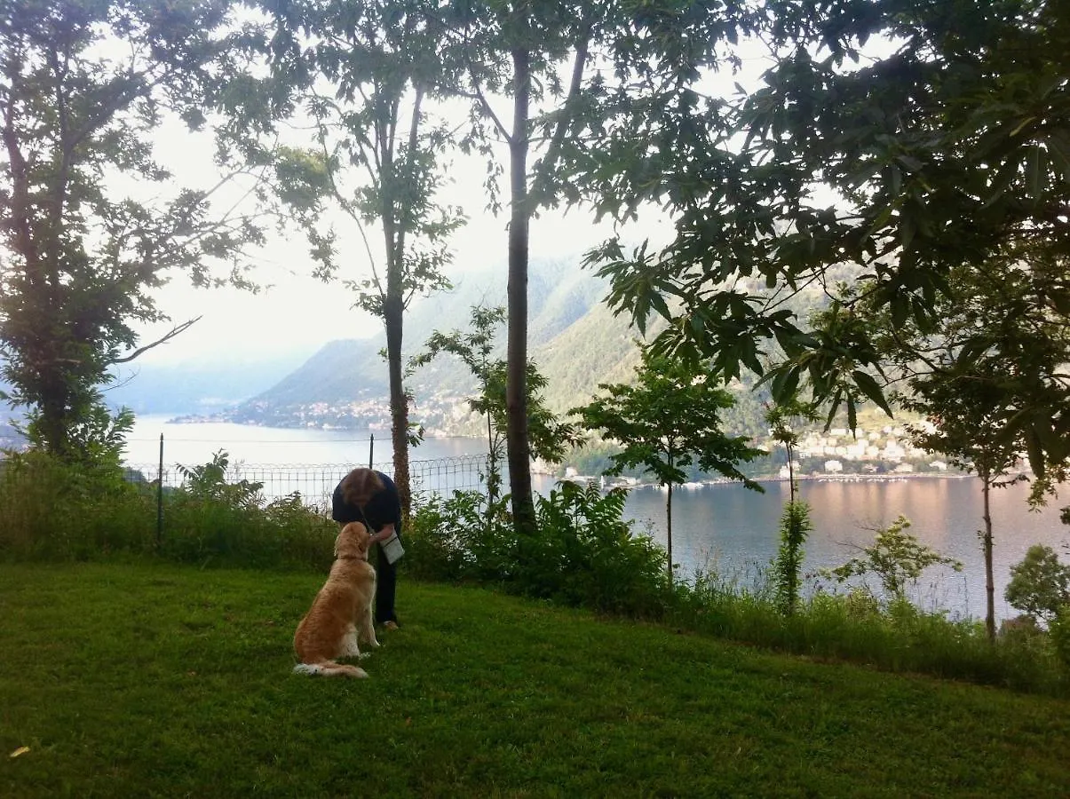 Villa Corti Lakeview Como Italy