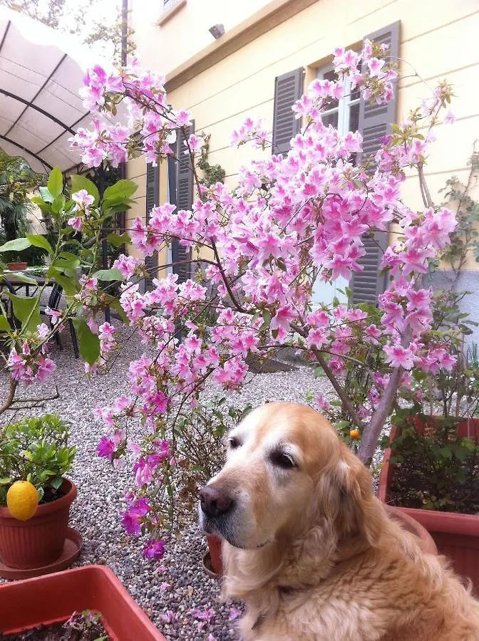 Bed & Breakfast Villa Corti Lakeview Como