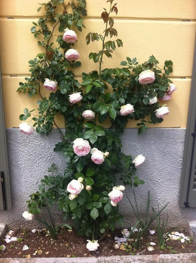 Villa Corti Lakeview Como Bed & Breakfast