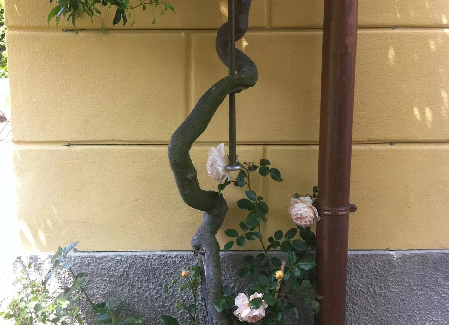 Villa Corti Lakeview Como 0*,